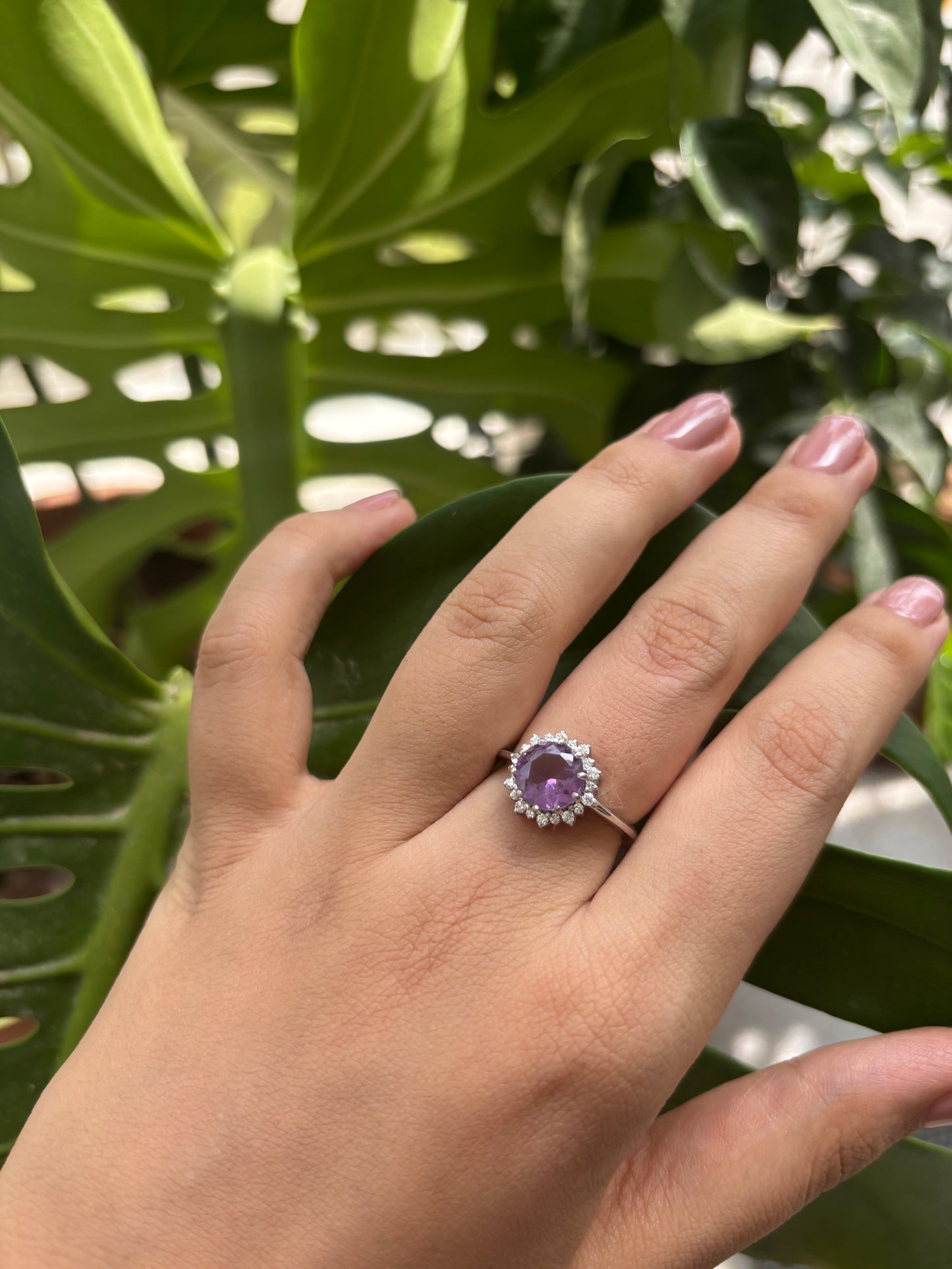 Violet Halo Ring – Sterling Silver & Amethyst